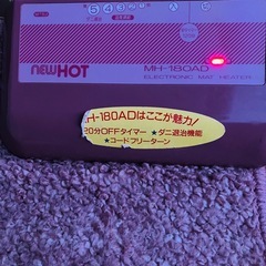1畳式　ホットカーペットの画像