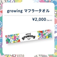 【美品】wacci ワッチ growing マフラータオルの画像