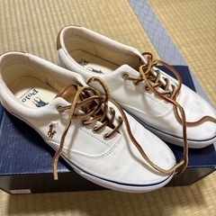 Polo Ralph Lauren ホワイト スニーカー EU 42の画像