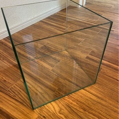 30cmキューブ水槽1つの画像