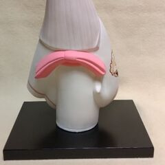 博多人形(台座・ガラスケース付)の画像