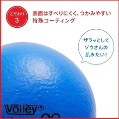 ボーネルンド ( BorneLund ) ボリー ( Volley ) しわくちゃボール 90mm 赤 の画像