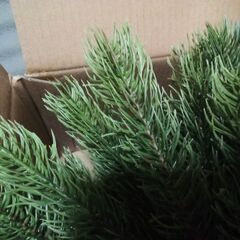 120cm クリスマスツリーの画像