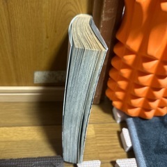 アイアムアヒーローの画像