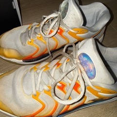 Nike KD17 ep basketball shoesの画像