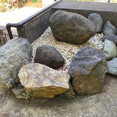 庭園用の石　石庭の石　大小12個の画像