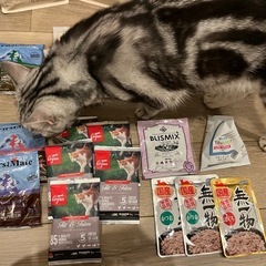 【決まりました】キャットフード【お問い合わせくださった方ありがとうございました🙇🏻‍♀️】の画像