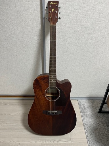 エレアコギター&ギタースタンド