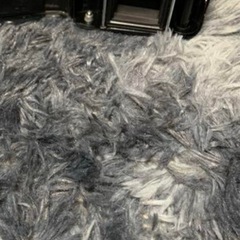 ビンテージ　フィルムカメラ　蛇腹カメラの画像