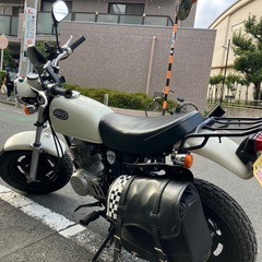 最終値下げです。HONDA APE 50(黄色ナンバー) の画像
