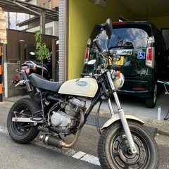 最終値下げです。HONDA APE 50(黄色ナンバー) の画像