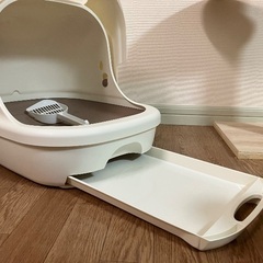 猫トイレの画像