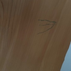 お取引中‼️ の画像