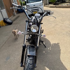 TW200の画像