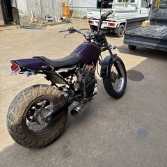 TW200の画像