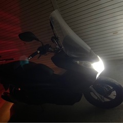 pcx125jf28  バイク　125の画像