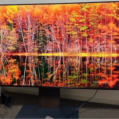 TOSHIBA65インチの画像
