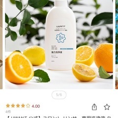 スチームクリーナーと洗浄剤の画像