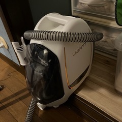 スチームクリーナーと洗浄剤の画像