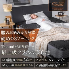 使用歴9ヶ月 GOKUMINマットレスSD  の画像