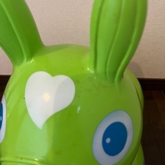 ロディの画像