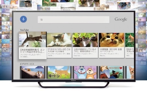 ソニー 49V型 液晶 テレビ ブラビア KJ-49X8000C 4K