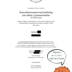 スウェーデン人講師とオンライン英会話レッスン🔤の画像