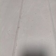 エアーベッドセーブルの画像