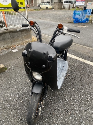 スズキ　チョリノリ