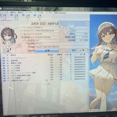 sad 60gbの画像