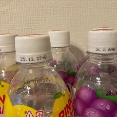 単価８０円ウィルキンソンエキストラ グレープ&ピンクグレープ １０本！の画像