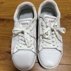 お取り引き中❌LACOSTE スニーカー23cmぐらいの画像