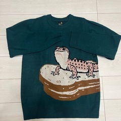 go slow caravan セーターシャツパンツセットの画像