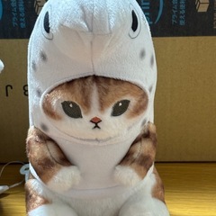 ぬいぐるみの画像