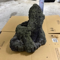 雲山石　アクアリウム　いし石の画像