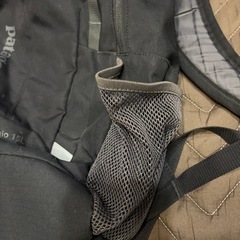 【決定】パタゴニア  リュックの画像