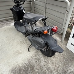 ホンダ ズーマーX 引き取り限定の画像