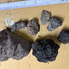 溶岩石　レイアウト　すい水槽の画像