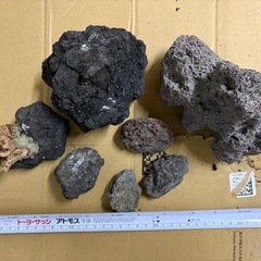 溶岩石　レイアウト　すい水槽の画像