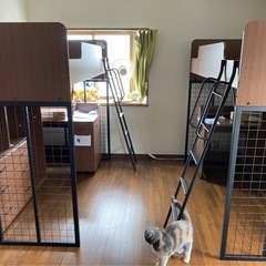 ニトリ ロフトベッド2セットの画像