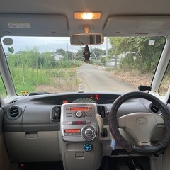 ダイハツ　タントの画像