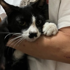 まめお　オス　4ヶ月