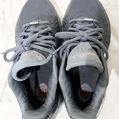 レブロン21EP NIKE  の画像