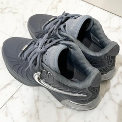 レブロン21EP NIKE  の画像