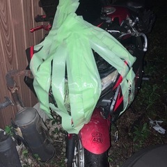 CBR250 MC41 前期 事故車の画像