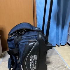 ボウリングバック🎳メーカーABS 2個用の画像