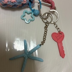 じゃらじゃらキーホルダーの画像