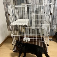 キャットケージの画像