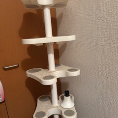 シューズラック　の画像