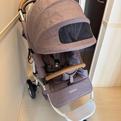 エアバギー　ココブレーキ　EX AIRBUGGYの画像